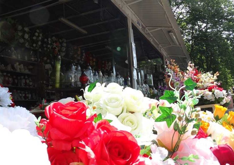 dsc08828_optimized dsc08828_optimized